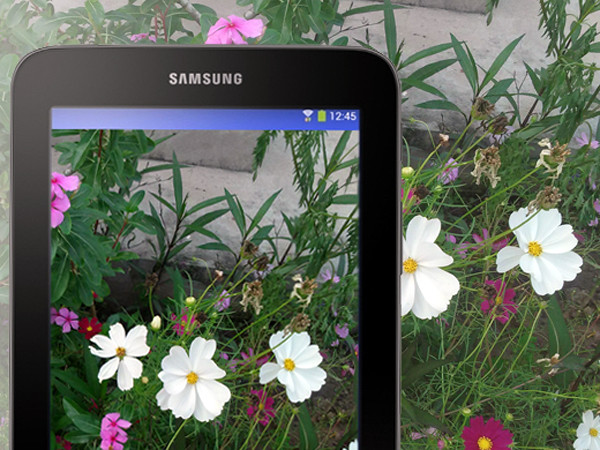 Top 5 máy tính bảng bán chạy trong tháng Sáu: Giá rẻ lên ngôi ảnh 3