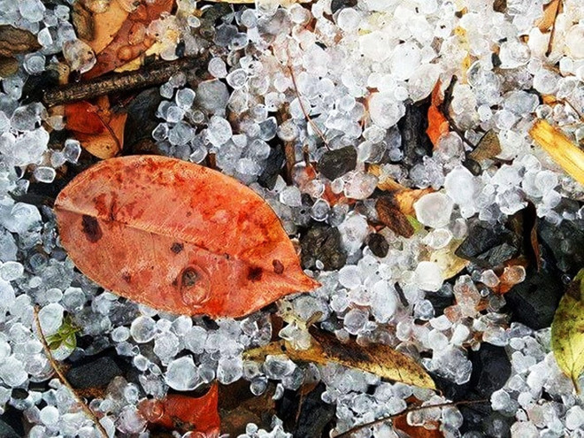 Việt Nam có thể dự báo được giông lốc, vòi rồng, mưa đá từ năm 2020 ảnh 1