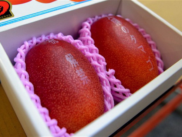 Nhật Bản: Cặp xoài được bán với giá kỷ lục 3000 USD ảnh 1