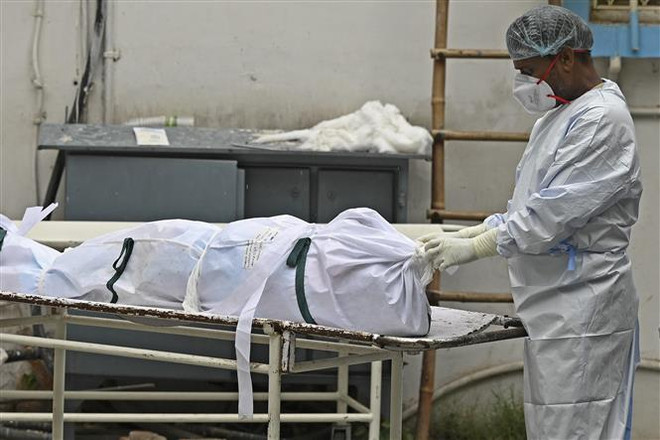 Tình hình số ca tử vong vì COVID-19 tại Ấn Độ, Pháp và Mexico ảnh 1