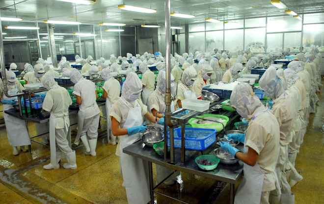 Thủ tướng quyết định lập Ban Quản lý Khu kinh tế tỉnh Hà Tĩnh ảnh 1