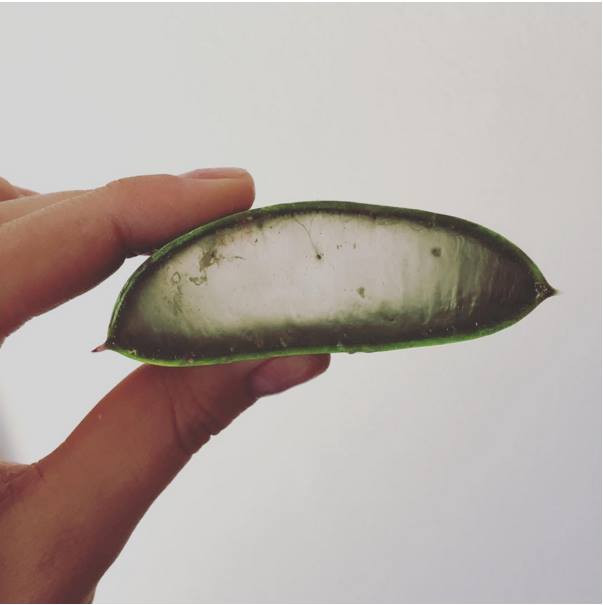 Các công thức "thần thánh" cho da trắng mịn trong ngày hè ảnh 1