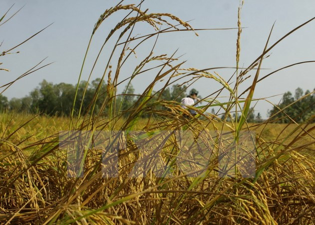 Sự kiện trong nước tuần 24-27/3: Gia hạn giải ngân gói 30.000 tỷ đồng ảnh 4