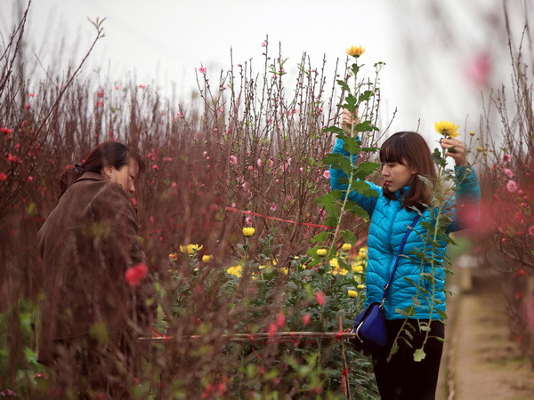 Ngày cuối cùng của năm: Miền Bắc được hưởng nắng từ sáng sớm ảnh 1
