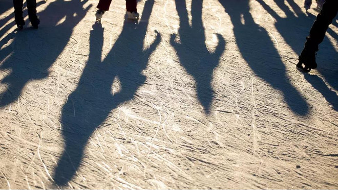 Dịch COVID-19: Sân trượt băng ở Ba Lan biến thành nơi bán hoa tươi ảnh 1