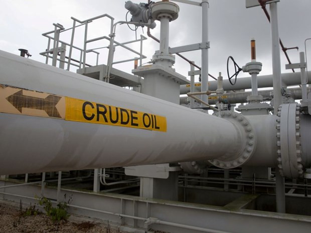 Ảnh minh họa. (Nguồn: Reuters) Giá dầu thô Mỹ WTI tăng gần 9% trong phiên giao dịch tuần qua ảnh 1