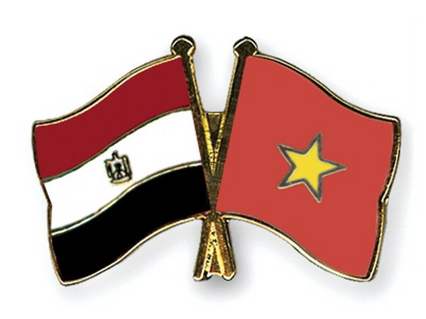 Việt Nam và Ai Cập họp tham vấn chính trị lần thứ 8 tại Cairo ảnh 1