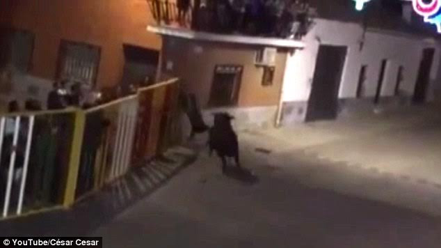 Người đàn ông xấu số bị húc chết khi đang quay bò tót ở lễ hội ảnh 1