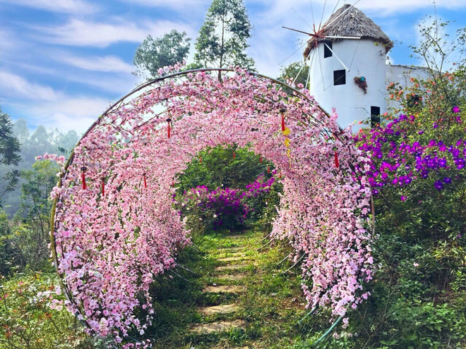 Ngất ngây với Vương quốc hoa Đỗ quyên rực rỡ ở Vĩnh Phúc ảnh 5