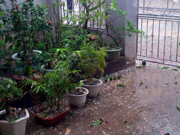 Không khí lạnh tăng cường, Bắc Bộ mưa nhỏ, Trung Bộ đề phòng mưa đá ảnh 1