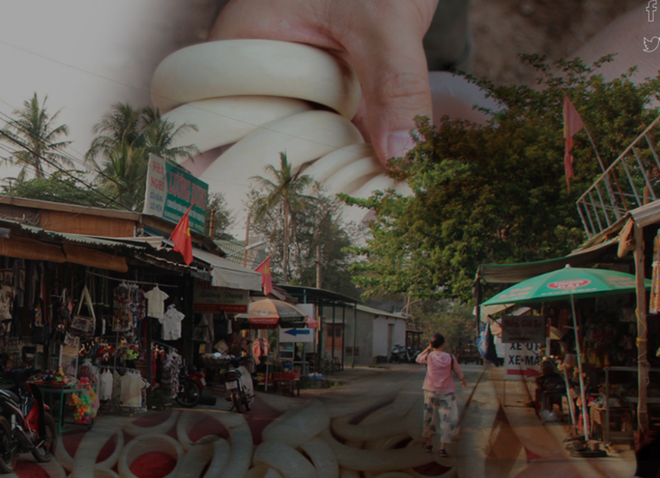 Động vật hoang dã dần tuyệt chủng khiến cuộc sống con người bị đe dọa ảnh 1