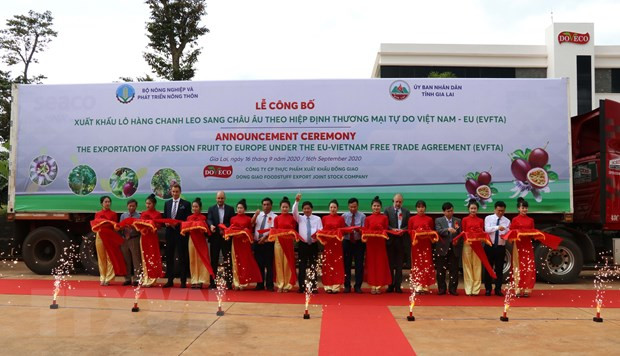 Gia Lai: Tăng chất lượng nông sản đáp ứng yêu cầu xuất khẩu vào EU ảnh 1