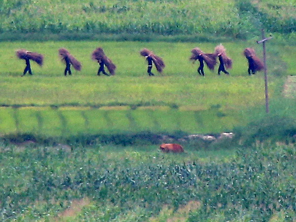 Hàn Quốc dự báo làn sóng đào tẩu tập thể từ Triều Tiên sẽ gia tăng ảnh 1