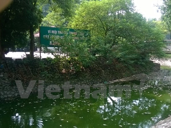 Hà Nội: “Chưa loại bỏ chức năng chứa nước thải thì hồ vẫn chết” ảnh 1