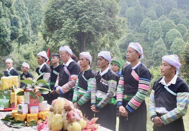 Lễ hội tôn vinh cây chè tổ: Phát triển giống chè quý Suối Giàng ảnh 1