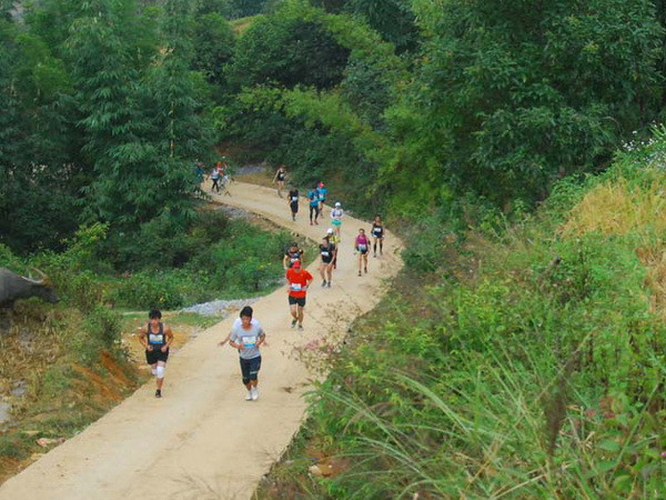 Giải vô địch việt dã leo núi toàn quốc thu hút sự quan tâm ảnh 1