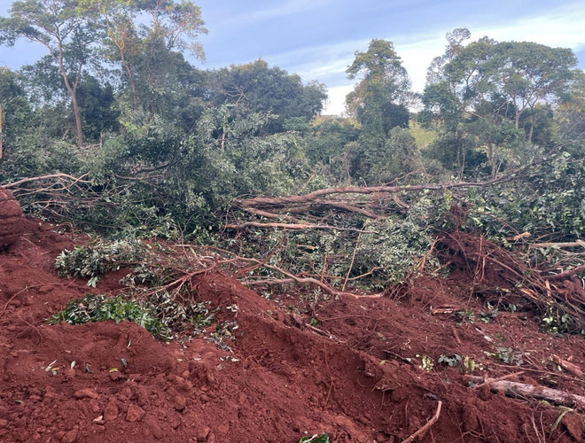 Quảng Bình: Xử lý vi phạm phá rừng, lấn chiếm đất lâm nghiệp còn chậm ảnh 1