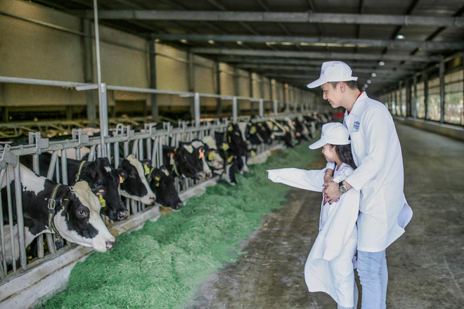 Mạnh Trường: Tôi bị thuyết phục khi khám phá hành trình sữa học đường ảnh 3