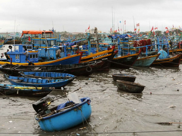 (Ảnh minh họa: An Hiếu/TTXVN) Chìm tàu cá tại Bình Thuận khiến một thuyền viên tử vong ảnh 1