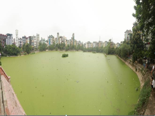 Năm 2015: Xử phạt 1.650 tỷ đồng các vụ vi phạm tài nguyên, môi trường ảnh 1