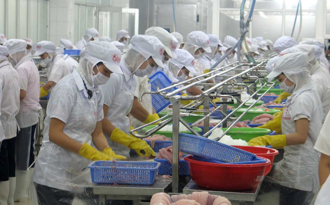 Tiền Giang khai thác hiệu quả các khu công nghiệp, cụm công nghiệp ảnh 1