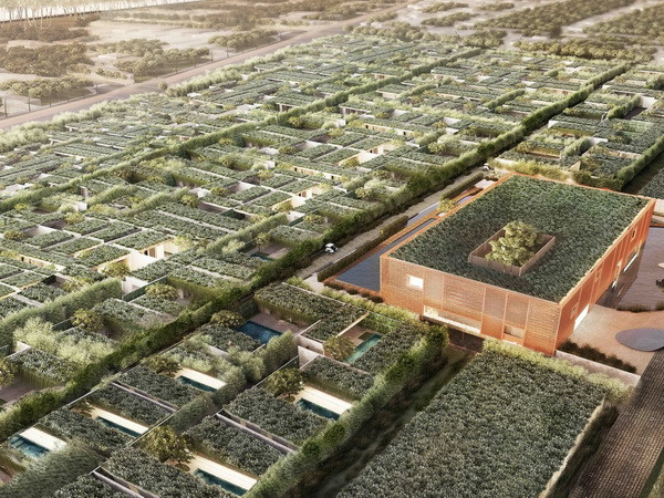 "Rẽ hướng" đầu tư biệt thự Phú Quốc giá chỉ bằng căn hộ ảnh 2