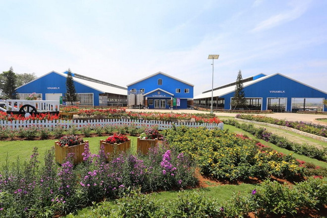 Vinamilk đồng hành cùng sự phát triển của thủ đô Hà Nội ảnh 2