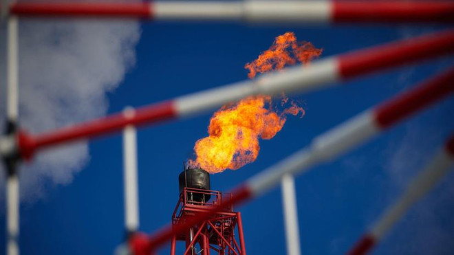 Belarus ngừng cung dầu của Nga cho Ba Lan, Ukraine và các nước Baltic ảnh 1