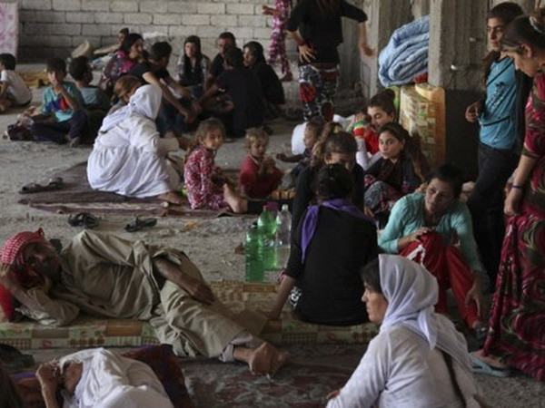 Australia thả đợt hàng cứu trợ đầu tiên cho người dân Iraq ảnh 1