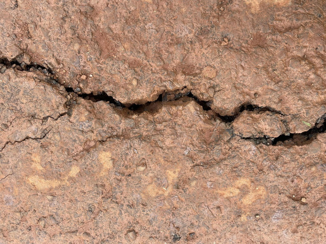 Đắk Nông: Sớm xác định nguyên nhân nứt gãy, sạt lở đất tại Tuy Đức ảnh 1