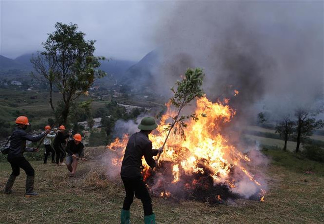 Lực lượng dân quân tự vệ góp phần tái thiết xã hội sau thiên tai ảnh 2