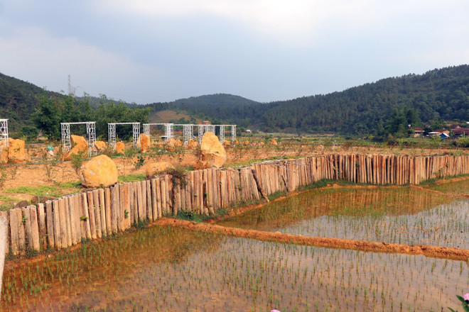 Huyện Kon Plông (tỉnh Kon Tum) xử phạt vi phạm đất đai. (Ảnh: Cao Nguyên/TTXVN) Kon Tum: Kon Plông lập Tổ công tác đặc biệt xử lý vi phạm về đất đai ảnh 1