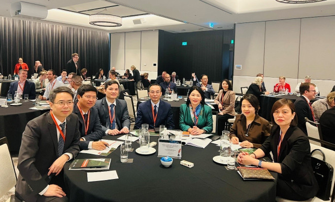 Đoàn Kiểm toán Nhà nước Việt Nam tham dự Hội nghị IMPACT 2023. (Ảnh: Thanh Tú/TTXVN) Đoàn Kiểm toán Nhà nước Việt Nam tham dự Hội nghị IMPACT 2023 ảnh 1