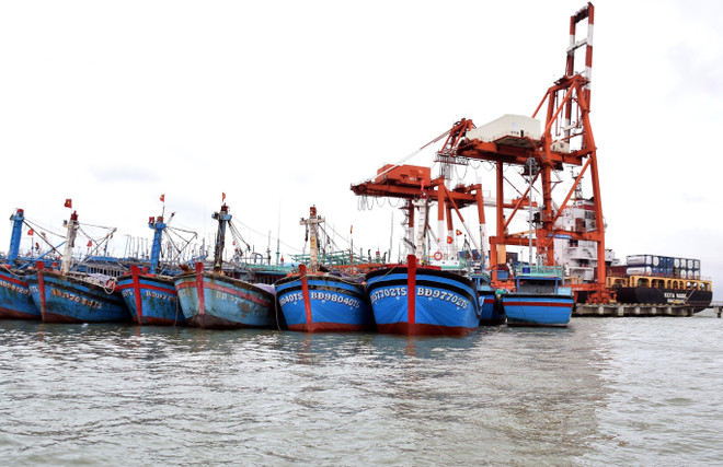 Hơn 300 tàu cá của ngư dân đang được neo đậu tránh trú bão an toàn tại cảng cá Quy Nhơn. (Ảnh: Nguyên Linh/TTXVN) Bão Rai đi vào Biển Đông, trở thành cơn bão số 9 của Việt Nam ảnh 2