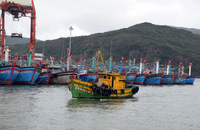 Bình Định, Phú Yên cấm biển, sẵn sàng kịch bản ứng phó với bão Rai ảnh 1