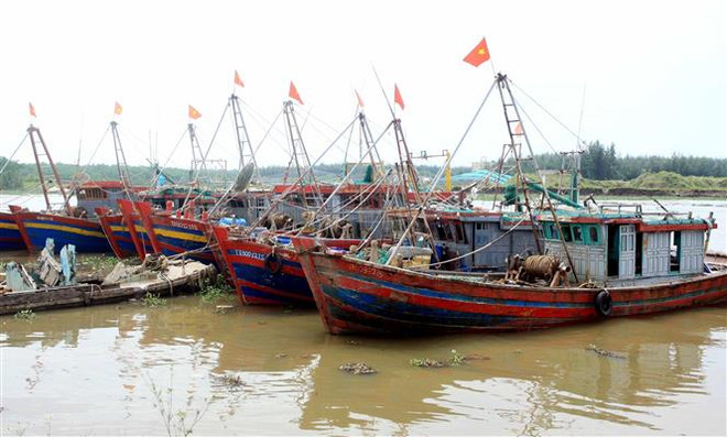 Quảng Ninh, Hải Phòng, Nam Định, Thái Bình chủ động ứng phó bão số 2 ảnh 1
