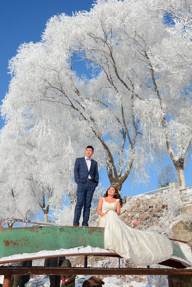 Khung cảnh tuyệt đẹp của những cây liễu bị đóng băng bên bờ sông ảnh 3