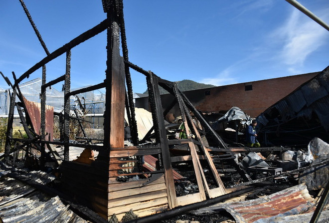 Lâm Đồng: Hỏa hoạn thiêu rụi một xưởng gỗ, lửa lan sang nhà dân ảnh 2