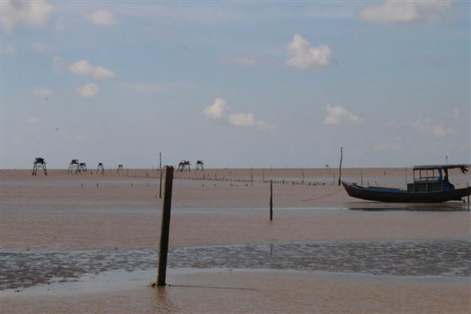 Bến Tre: Nguyên giám đốc hợp tác xã nuôi nghêu lừa đảo hơn 13 tỷ đồng ảnh 1