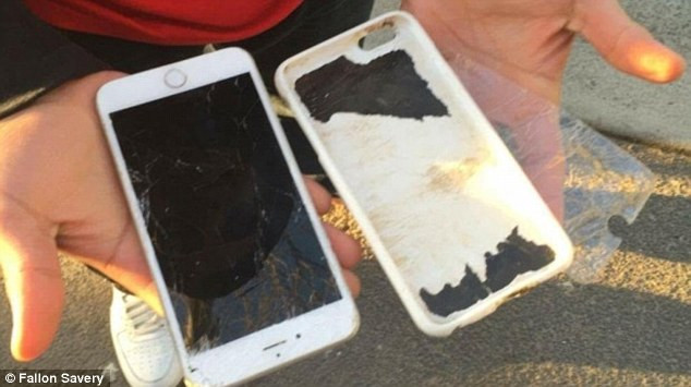 Người chơi Pokemon Go đau đớn nhìn khỉ đập nát điện thoại ảnh 2