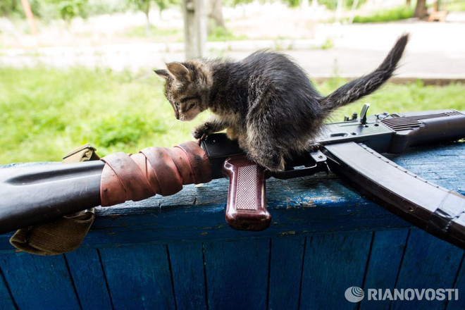 Phóng viên Nga mất tích khi tác nghiệp ở chiến trường Ukraine ảnh 5