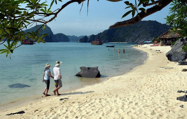 Xây dựng Cát Bà theo mô hình đảo sinh thái, thông minh ảnh 1