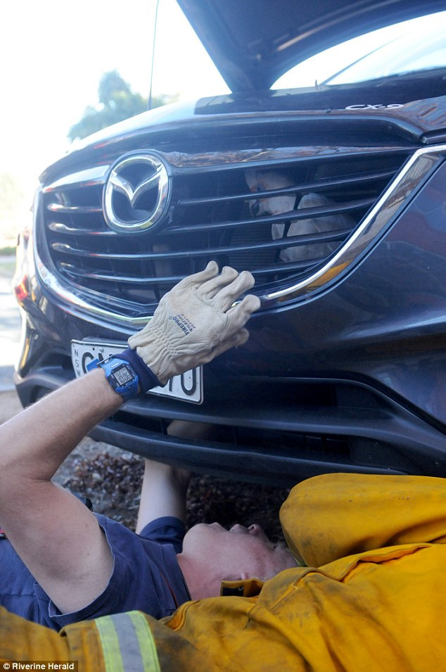 [Photo] Chú vẹt gặp sự cố hy hữu khi mắc kẹt trong lưới tản nhiệt ảnh 3