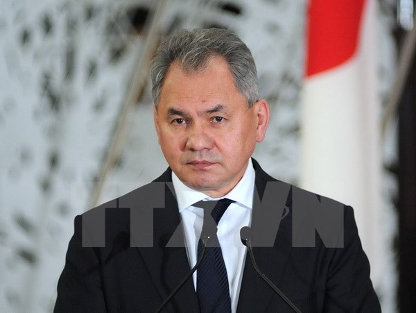 Nga: Tổ chức khủng bố IS kiểm soát chưa đầy 5% lãnh thổ Syria ảnh 1