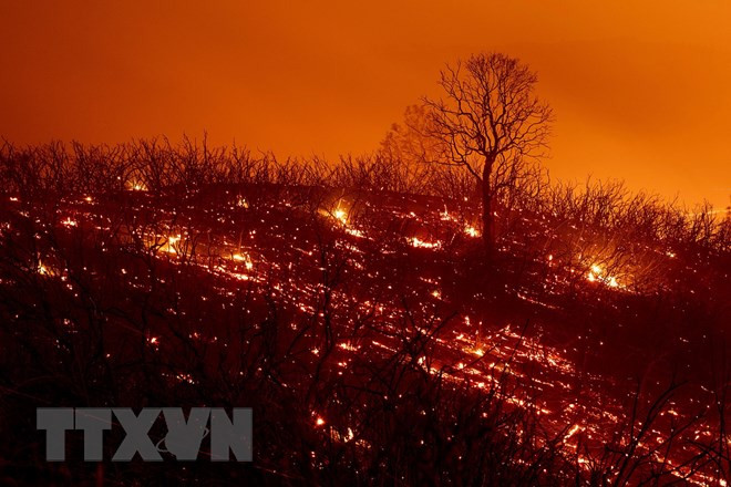 [Videographics] Cháy rừng - Thảm họa khủng khiếp đe dọa mọi quốc gia ảnh 4