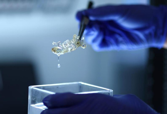 (Nguồn: Reuters) Đức tạo ra các bộ phận cơ thể người từ công nghệ in 3D để ghép tạng ảnh 1