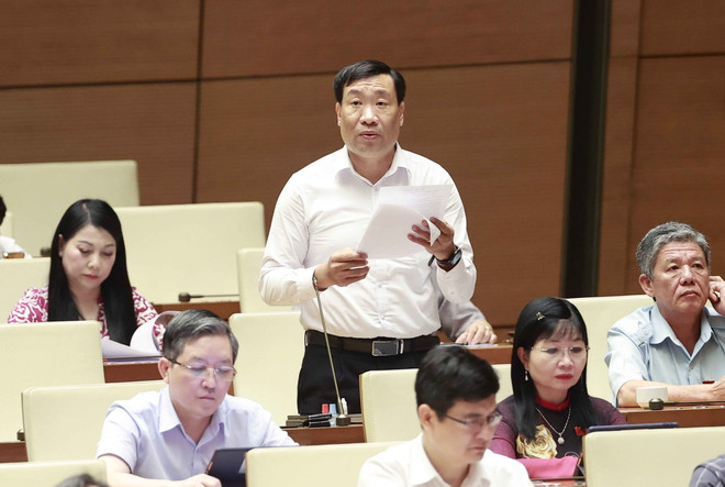 Cần giải pháp thực hiện thành công Chiến lược phát triển Chính phủ số ảnh 1