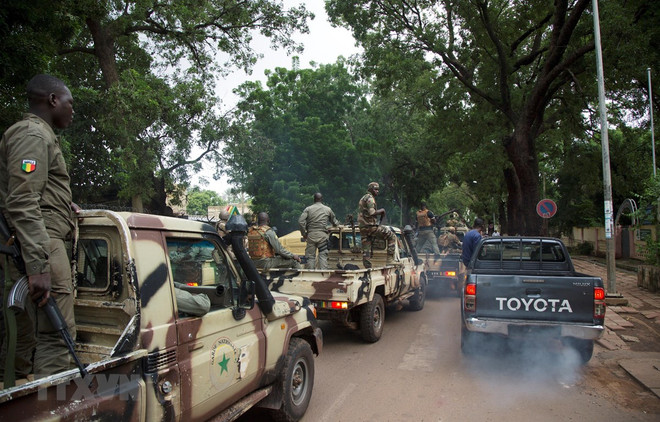 Binh sỹ Mali tham gia chiến dịch chống khủng bố. (Ảnh: AFP/TTXVN) Chủ nghĩa bạo lực cực đoan đe dọa khu vực các nước Tây Phi ảnh 1