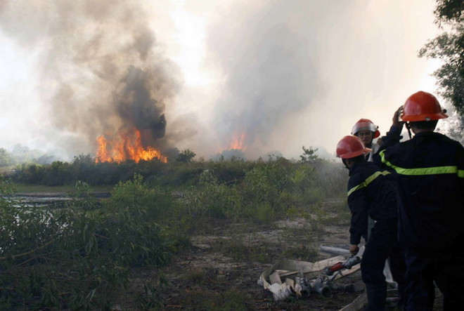 Cháy rừng tái sinh tại Hà Nam, gây thiệt hại trên một ha rừng ảnh 1