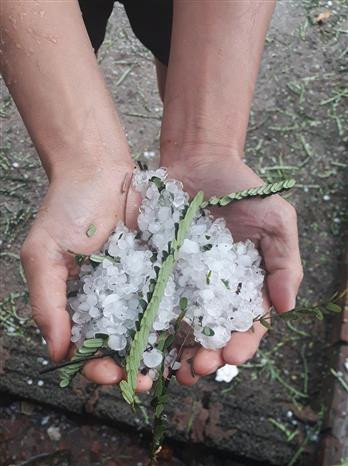 Các trận mưa đá bất ngờ xuất hiện liên tiếp tại tỉnh Điện Biên ảnh 2